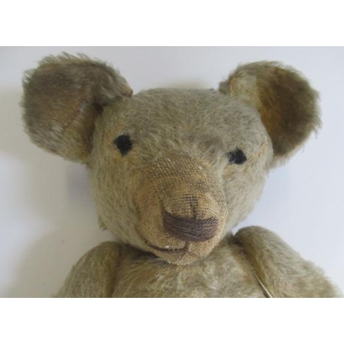 221 - A pe-war jointed teddy bear, with light orange plush, sewn nose, hump back and large ears, 17