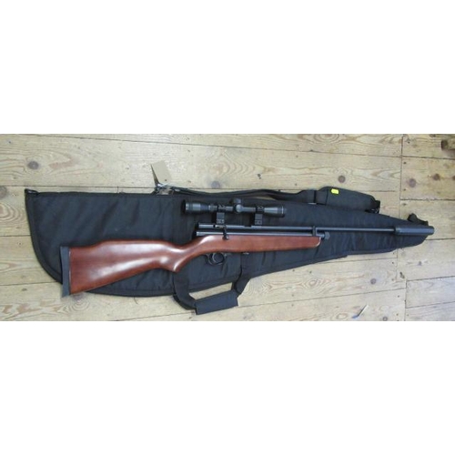 57 - SMK AIR RIFLE WITH CASE