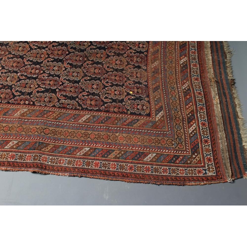 304 - A SHRIVAN BAKU RUG, South East Caucasus, late19/20th century, similiar to previous lot, 89 1/2