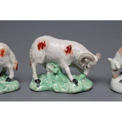 51 - A DERBY PORCELAIN GRAZING EWE, c.1760, standing on a flower enrusted shaped base, the fascia painted... 