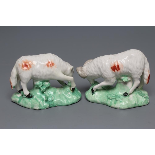 51 - A DERBY PORCELAIN GRAZING EWE, c.1760, standing on a flower enrusted shaped base, the fascia painted... 