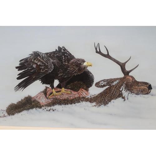 361 - MICHAEL DEMAIN (b.1958) Golden Eagle on a Fallen Stag, gouache, signed, 21 1/2