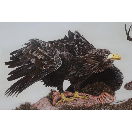 361 - MICHAEL DEMAIN (b.1958) Golden Eagle on a Fallen Stag, gouache, signed, 21 1/2