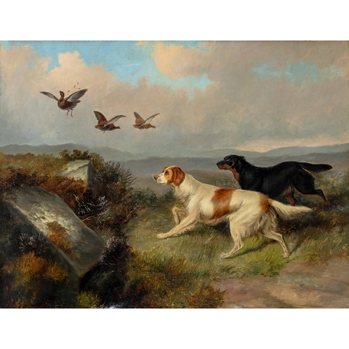 428 - ATTRIBUTED TO COLIN GRAEME ROE (1855-1910) Retrievers Flushing Grouse, oil on canvas, unsigned, 17