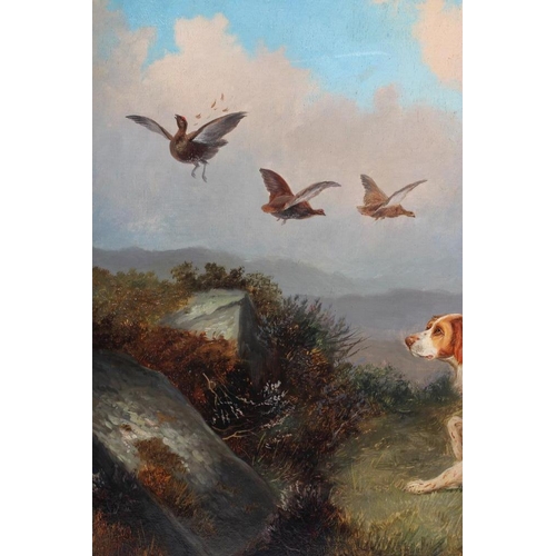 428 - ATTRIBUTED TO COLIN GRAEME ROE (1855-1910) Retrievers Flushing Grouse, oil on canvas, unsigned, 17