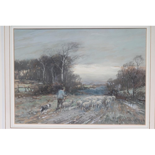 448 - WILLIAM ASHTON (1853-1927) Winter Scene with Shepherd and Flock, gouache, signed, 9