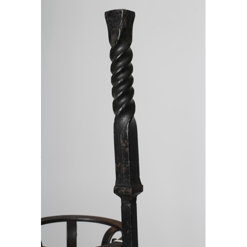 450 - AN EARLY GEORGIAN STYLE CAST IRON FIREBACK, 19th century, of oblong form with arched crest over the ... 