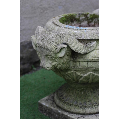 473 - A PAIR OF COMPOSITION STONE URNS, the ovoid bowls with stiff leaf banding and rams head handles, on ... 