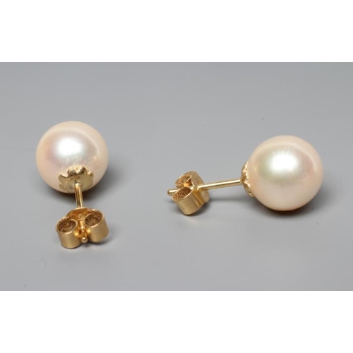 173 - A PAIR OF CULTURED PEARL EAR STUDS, the pale champagne coloured pearls set to unmarked posts with bu... 