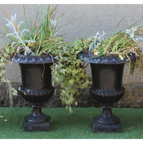 467 - A PAIR OF CAST IRON URNS of half fluted campana form with ovolu rims, waisted socle and square base,... 