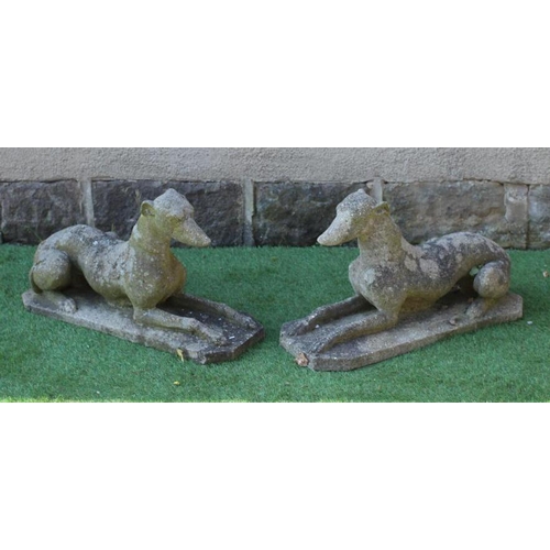 531 - A PAIR OF CAST STONE RECUMBENT GREYHOUNDS on canted oblong bases, 27