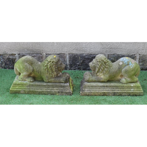 547 - A PAIR OF CAST STONE RECUMBENT LIONS each holding a ball in its front paws, on moulded oblong base, ... 