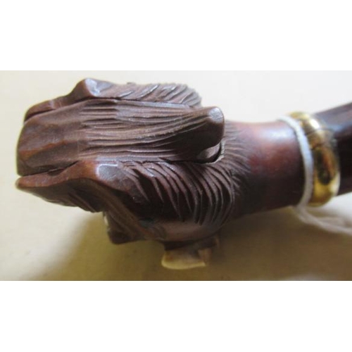 323 - A VICTORIAN WALKING STICK, the boxwood(?) tip carved as a dog's head with glass eyes, ivory ears and... 