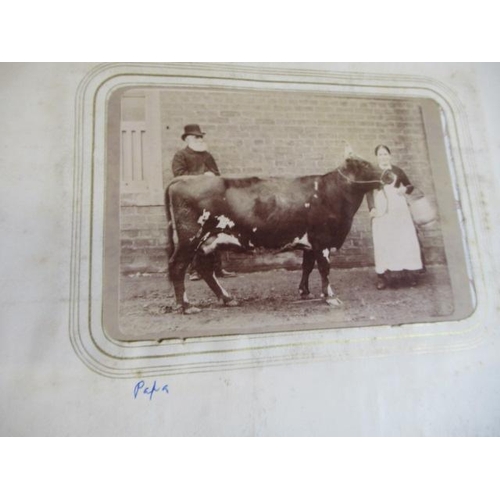 335 - A VICTORIAN MAUCHLINE WARE PHOTOGRAPH ALBUM, made of wood grown on the lands of Abbotsford, the fasc... 