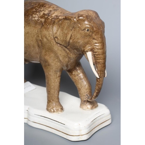 17 - A STAFFORDSHIRE POTTERY MODEL OF JUMBO, the elephant standing on a gilt lined shaped oblong base, 11... 