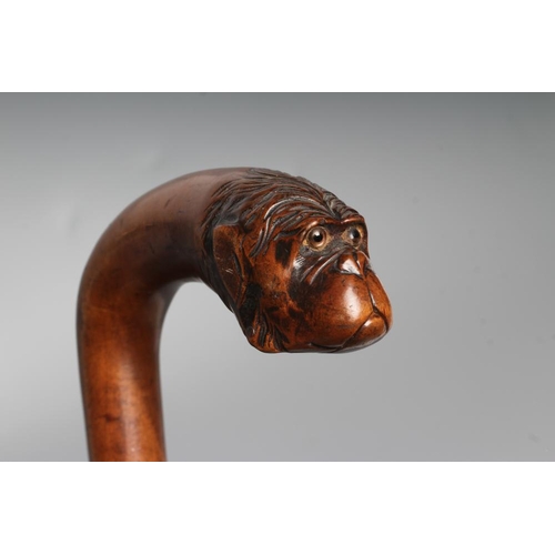 429 - TWO NOVELTY WALKING CANES, comprising a hardwood cane carved as bamboo, with a boxwood head carved a... 