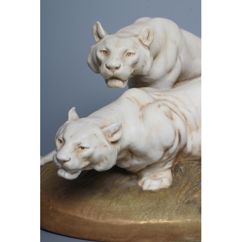 78 - A ROYAL DUX BISQUE PORCELAIN MODEL OF TWO LIONESSES, early 20th century, both crouching and snarling... 