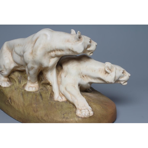 78 - A ROYAL DUX BISQUE PORCELAIN MODEL OF TWO LIONESSES, early 20th century, both crouching and snarling... 