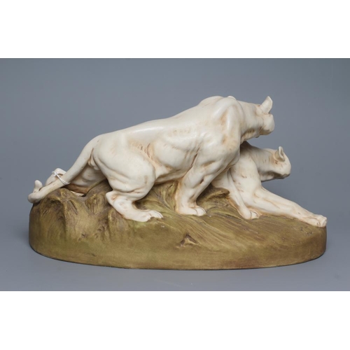 78 - A ROYAL DUX BISQUE PORCELAIN MODEL OF TWO LIONESSES, early 20th century, both crouching and snarling... 