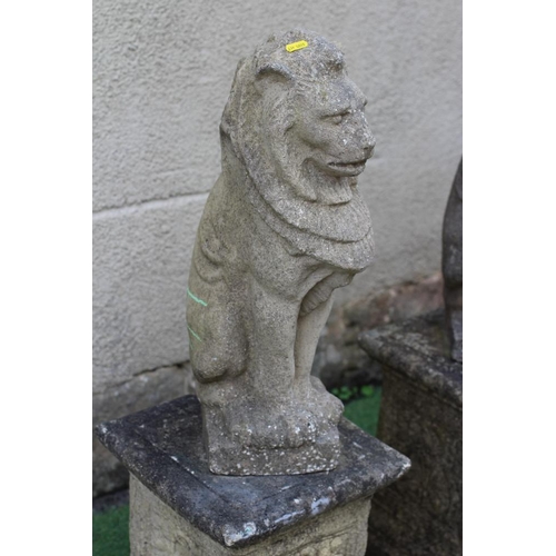 739 - A PAIR OF CAST STONE LIONS SEJANT, raised on associated flower moulded stepped square plinth, 12