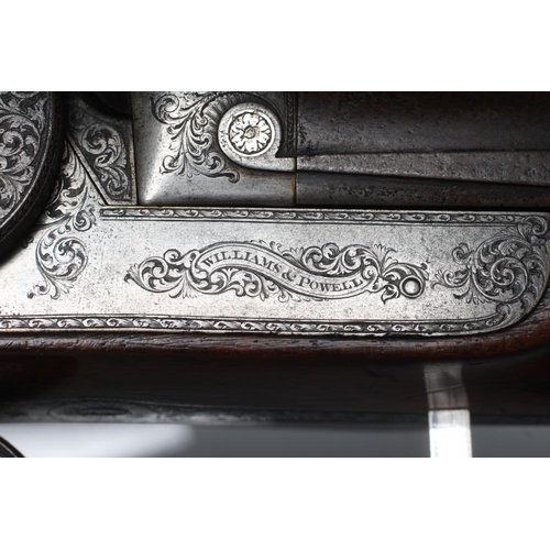 451 - A WILLIAMS & POWELL PERCUSSION 14 BORE DOUBLE BARRELLED SHOTGUN, the 29 1/2