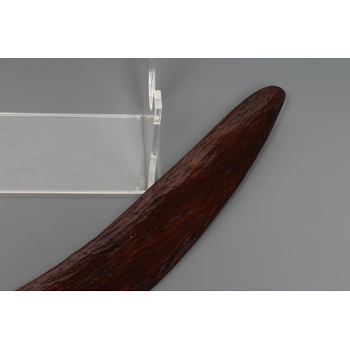 587 - AN ABORIGINAL BOOMERANG with one flat edge and long tooling marks throughout, old label inscribed 