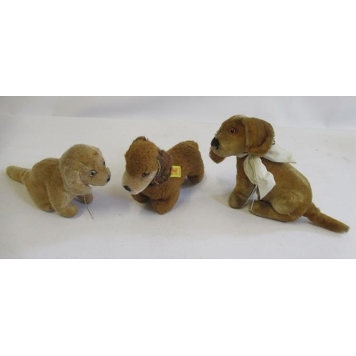 175 - Three Steiff dogs, comprising a 1950s/60s Bazi, a later Bazi with silver button and a 1970s/80s Hexi... 