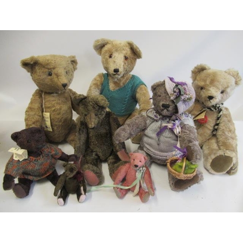 195 - Eight collectors bears, comprising a 20 1/2