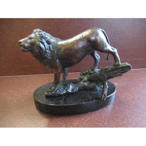 1 - BOXED BRONZE LION FIGURE