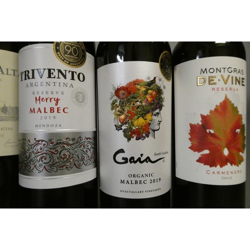 202 - 10 bottles of Chilean & Argentinian red wine, comprising 2 2017 Catena Alta Malbec, 2 2019 Max Erraz... 