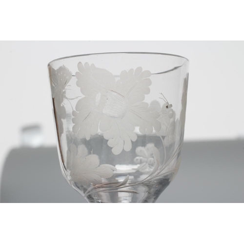 125 - A JACOBITE WINE GLASS, mid 18th century, the ogee bowl engraved with oak leaves, a moth and other in... 