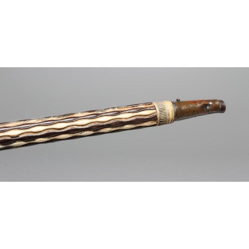 662 - A GEORGIAN GENTLEMAN'S WALKING CANE, early 19th century, the bone handle carved as a begging dog wit... 