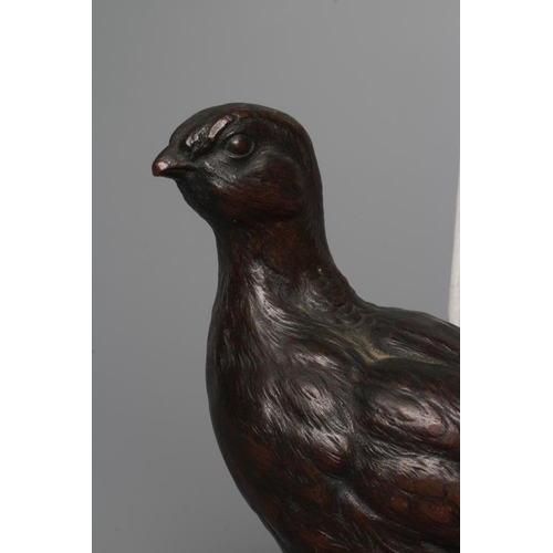 668 - A FRANZ BERGMAN CAST BRONZE GROUSE, numbered 7508, factory mark and Geschutz, 7 1/2