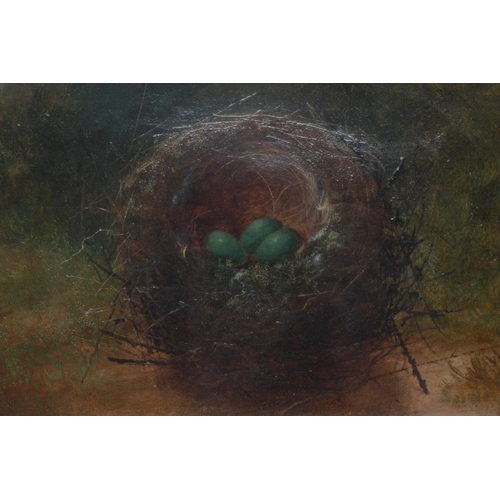 794 - BRITISH SCHOOL (19th century) Study of a Bird's Nest, oil on canvas, indistinctly signed, 7