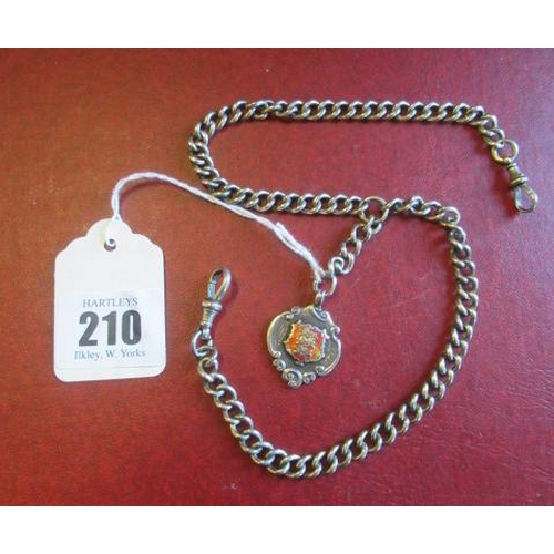 210 - USHER THREE LIONS PENDANT ON SILVER CHAIN