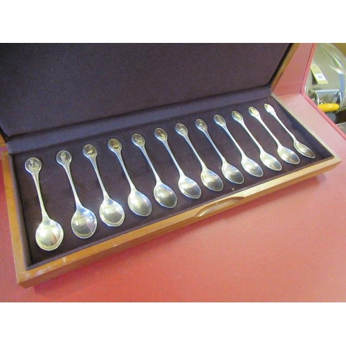 251 - CASED SET OF SILVER RSPB SPOONS