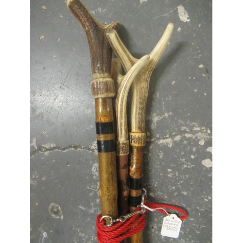 161 - THREE ANTLER WADING STICKS