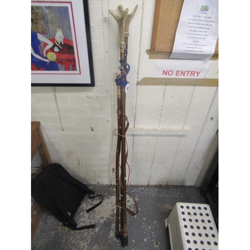 165 - THREE ANTLER WALKING/WADING STICKS