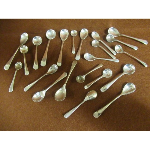 262 - TWENTY TWO SILVER CRUET SPOONS