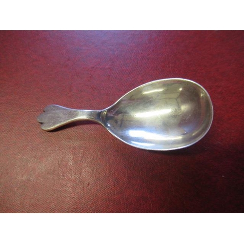 311 - SILVER CADDY SPOON