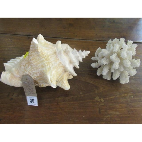 Lot 36        