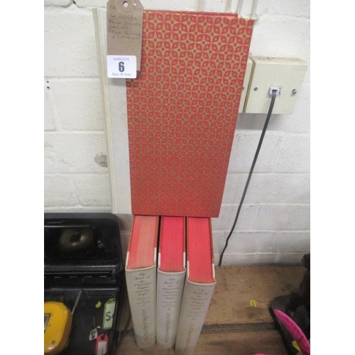 Lot 6         