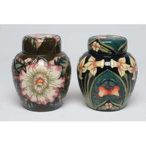 119 - TWO MOORCROFT POTTERY JARS AND COVERS, comprising Gustavia Augusta designed by Debbie Hancock, 1999,... 