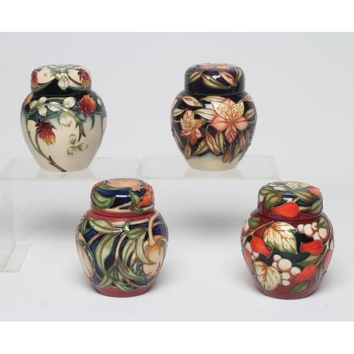 120 - TWO MOORCROFT POTTERY SMALL JARS AND COVERS, comprising Meadow Charm designed by Nicola Slaney, 2003... 