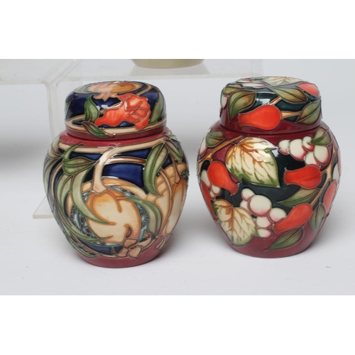 120 - TWO MOORCROFT POTTERY SMALL JARS AND COVERS, comprising Meadow Charm designed by Nicola Slaney, 2003... 