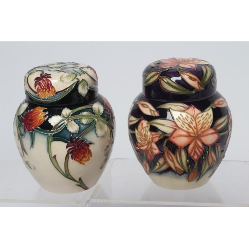 120 - TWO MOORCROFT POTTERY SMALL JARS AND COVERS, comprising Meadow Charm designed by Nicola Slaney, 2003... 