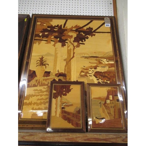 805 - THREE MARQUETRY PICTURES