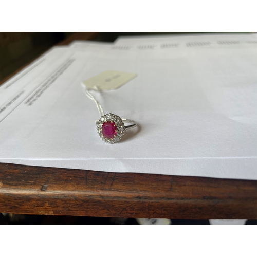 172 - A RUBY AND DIAMOND CLUSTER RING, the oval facet cut ruby claw set to a border of ten brilliant cut d... 