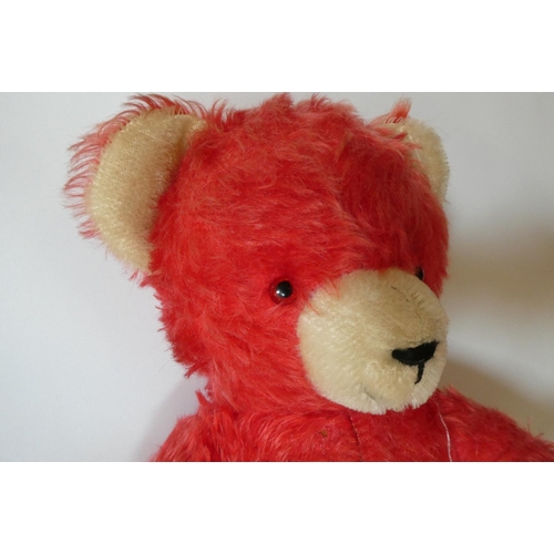 142 - German red jointed teddy bear, with glass eyes, sewn nose, cream ears, nose and pads, 17