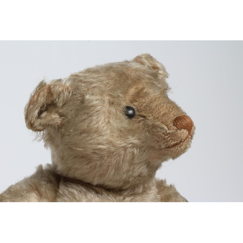 148 - Rare Steiff white jointed teddy bear, with shoe button eyes, sewn nose, metal ear stud and felt pads... 